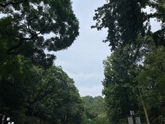 -岳麓山风景名胜区