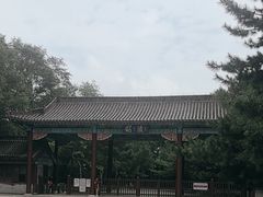 -北陵公园