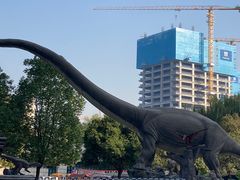 -陕西自然博物馆