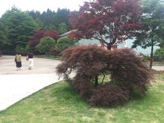 -四明山国家森林公园