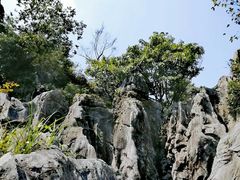 -千岛湖石林