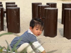 -永定河休闲森林公园