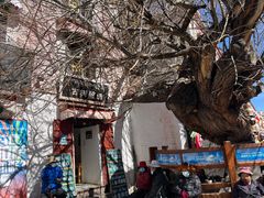 -古树酸奶(八廓南街店)