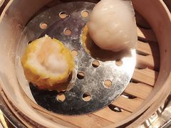 -唐阁(香港朗廷酒店)