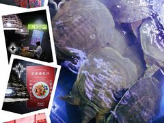-湘里乡亲甲王二老店