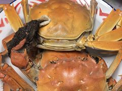 -非遗•老字号•阿彬牛肉火锅(广济桥店)