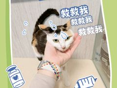 -爱派特动物医院·全科诊疗中心