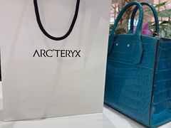 -ARC'TERYX始祖鸟(北京王府中环店)