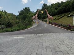 -贵州森林野生动物园