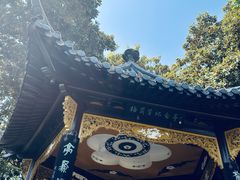 -梅园
