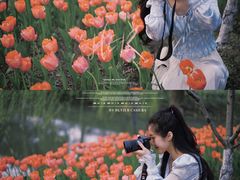 -圩墩遗址公园