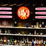 🔥火爆魔都的拳击猫🥊南京也有啦‼️