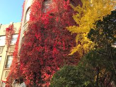 -辽宁大学(崇山校区)