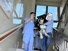 -谐和贝康宠物医院24小时·宠保定点(急重症转诊中心)