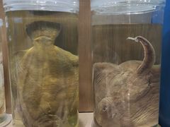 -青岛海底世界-水族馆