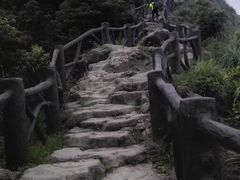 -梧桐山风景名胜区