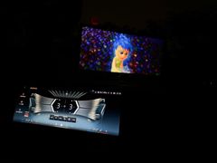 -枫花园汽车电影院(朝阳公园店)