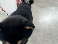 -纳吉亚猫专科动物医院·北北分院