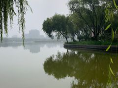 -廊坊文化艺术中心