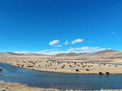 -天下黄河第一湾