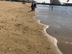 -碧海金沙