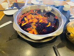 -金鼎雪山牦牛杂火锅(理县总店)