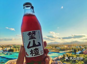 最爱望山楂的那种酸爽开胃