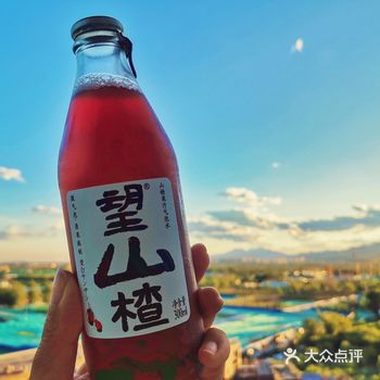 最爱望山楂的那种酸爽开胃