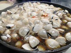 -顺德哥卜卜贝(旗舰店)