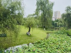 -沐仙湖湿地公园