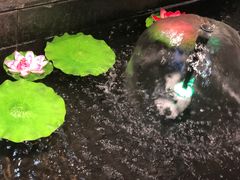 -割烹旭日本料理(龙湖狮山天街店)