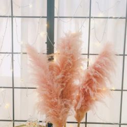 -薇漫里纹眉半永久连锁品牌