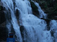 -海南热带雨林国家公园吊罗山景区