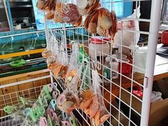 -蓝湾碧波·老字号·疍家非遗海上餐厅