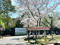 -尚湖风景区