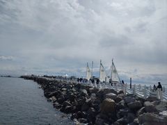 -东莞市大岭山森林公园