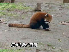 -西安秦岭野生动物园
