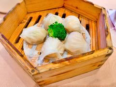 宝园虾饺皇-宝园酒家(美林M·LIVE天地东座店)