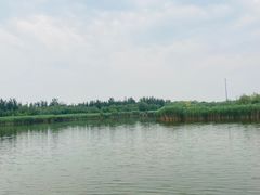 -西青郊野公园