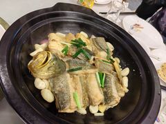 -骏莱海鲜鱼港(五角场店)