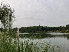 -宜兴龙背山森林公园