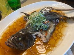 三丝豉油蒸老虎斑-建滔诺富特酒店-悦餐厅