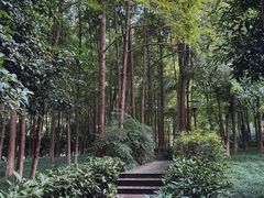 -钱江新城