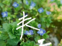 -三圣花乡旅游区