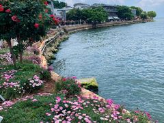 -大理洱海