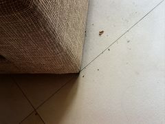 -惠州金海湾嘉华度假酒店