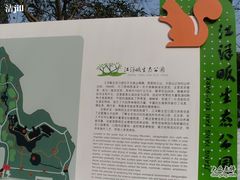 -西湖风景区-江洋畈生态公园