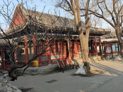 -荣国府