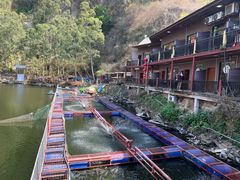-茗荔园农庄(大涌店)