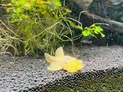 -上海海洋水族馆